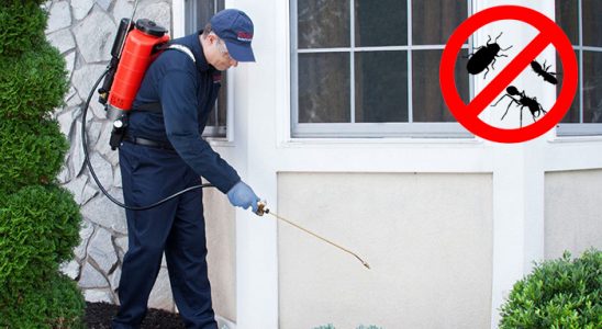 Uzundere Dezenfeksiyon böcek ilaçlama ve haşere kontrolü — ilaclama-tr.com
